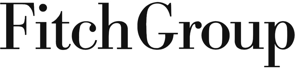 Fitch Group